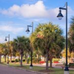 Landscape Freeport9 9