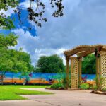 Landscape Friendswood9 12