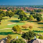 Landscape JerseyVillage10 22