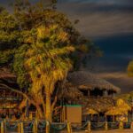 Bacliff5 1 3