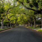 Bellaire2 1 2